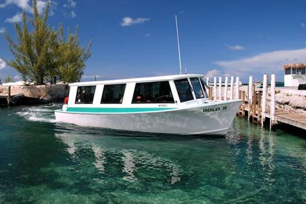 lowe-s-green-turtle-cay_0